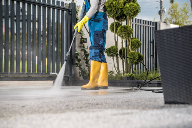 Best Dumpster Area Cleaning  in Fannett, TX