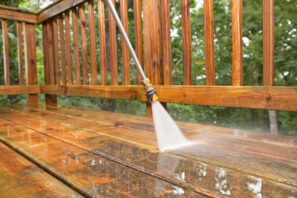 Best Spring Cleaning  in Fannett, TX